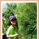 수림유치원 이미지