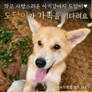 도담쉼터 이미지