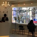 살롱드프롬 연신내 화이트점 네이버블로그
