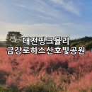 로하스조경식물원 | 대전 핑크뮬리, 금강로하스산호빛공원 가볼만한곳