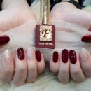 댕댕이 애견샵 이미지