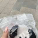초밥뷔페 카누카누 파주점, 파주 레트로 카페 카페제2공단, 14k 통통 하트 팔찌, 하트반지, 인천 서구...