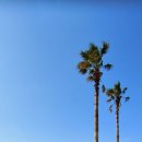 바다풍경 이미지