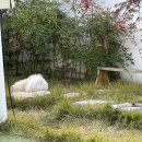 신라여관 이미지