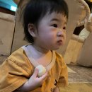 송강테마랜드 이미지