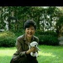 강아지 대통령 이미지