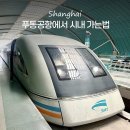 상하이 푸동공항에서 시내 난징동루 가는법 마그레브 지하철 택시