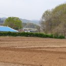 보은군농업기술센터 농기계임대사업소 이미지