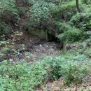 지천사거리 부근 이미지