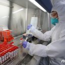 강서구-83 이미지