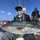 울진왕돌초 이미지