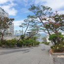 환상의바다리조트A동 이미지