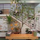 고구려목장 이미지