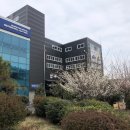 쌍용자동차해운대정비사업소㈜ | #20190227 [수] 쌍용 해운대정비사업소,재송동 장수오리마을,센텀 신세계,철마 미동암소정,사바하,BHC