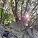 한라앤탐 이미지