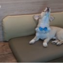 오영농장 이미지