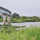 코스모스환경 이미지