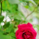 바울축산 이미지