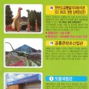 당항포관광지 오토캠핑장 이미지