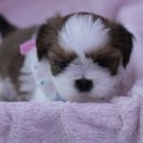 동글동글 이미지