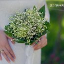 샹그리아비치호텔 이미지