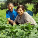 큰골영농조합법인 이미지