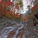 설악골식당 이미지