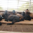 승희농장 이미지