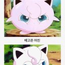 건강과성박물관 제주 이미지