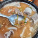 원조순대국밥 | 논산맛집 원조연산할머니순대 담백한 피순대국밥 먹고 온 후기