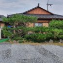 다솜식당 네이버블로그