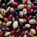 은곡농장 이미지