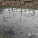 동면 생태친구들 이미지