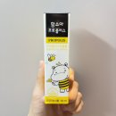 인천함소아(건강기능식품) | 여름철 에어컨 냉방 필수템! 우리 아이 구강 건강 챙기는 ‘함소아프로폴리스 스프레이’ 솔직 후기
