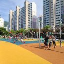 사파동155 이미지