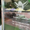 영월카피