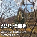 삼선산수목원 숲속도서관 | 당진여행 피톤치드 가득한 삼선산수목원 입장료무료 개방시간 주차정보