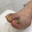 레푸스 부산사직점 이미지