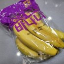 맛단지