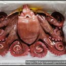 이레한우 이미지