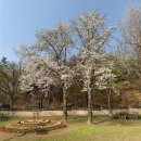 낙성대 공원 이미지