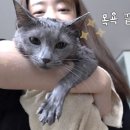 공감 이미지
