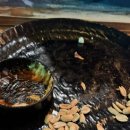 캠프더포레 이미지