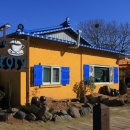 철새보러가는길 이미지