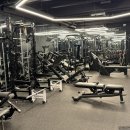 마이티핏 이미지