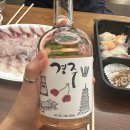 경주의시간 목화 이미지