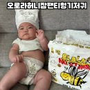 뚱배 | 허뚱배뚱 아기기저귀추천 오로라허니잠팬티형기저귀