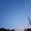 섬김터 | [공지] [일상일기] 5/25~6/4 일상 : 몽밀, 약손명가 사당점, 하우스 하일, 대통령선거, 무의도(a.k.a...