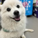 CU 양평강하편의점 | 차끌고 전국여행 다녀온 후기 (1)