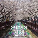 2025 진해 벚꽃축제 국내 당일치기 버스여행, 아너드 투어로 편하게 다녀온 후기